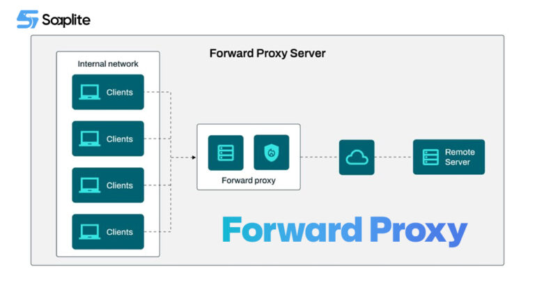 Forward Proxy vs Reverse Proxy: Differences & Use Cases