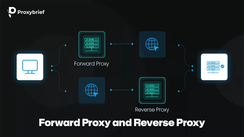 Forward Proxy and Reverse Proxy