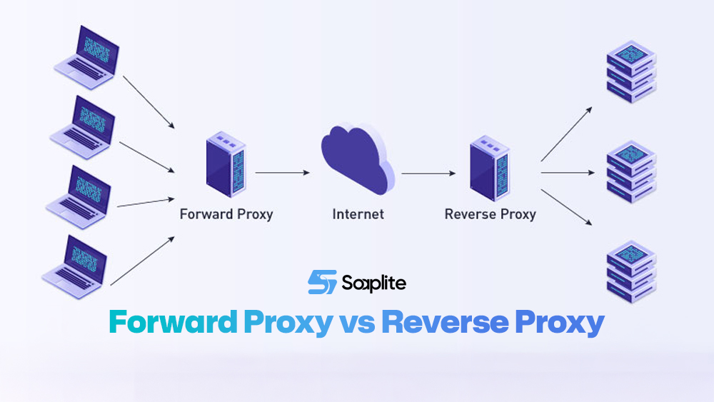 Forward Proxy vs Reverse Proxy