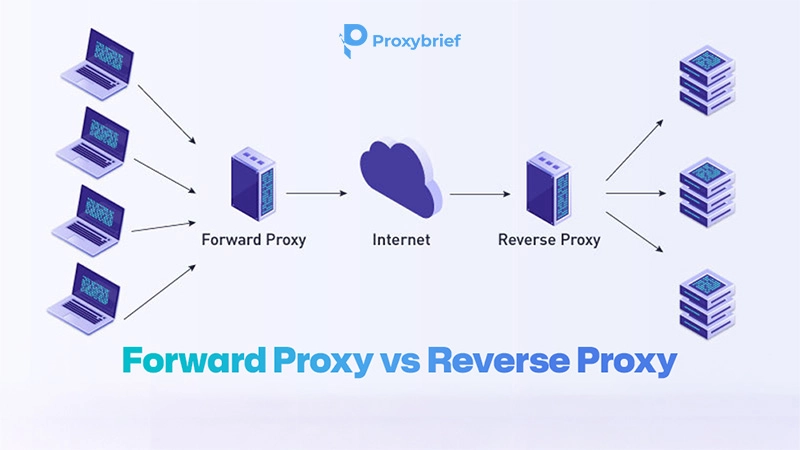 Forward Proxy vs Reverse Proxy