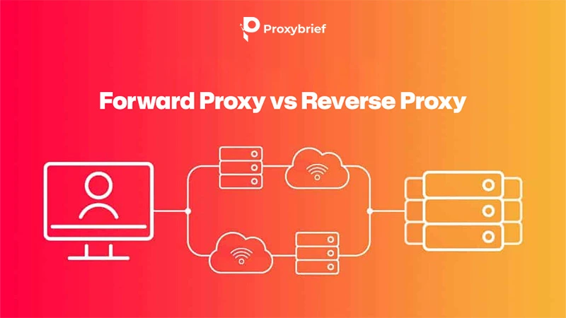 Forward Proxy vs Reverse Proxy
