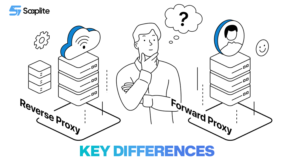 Key Differences