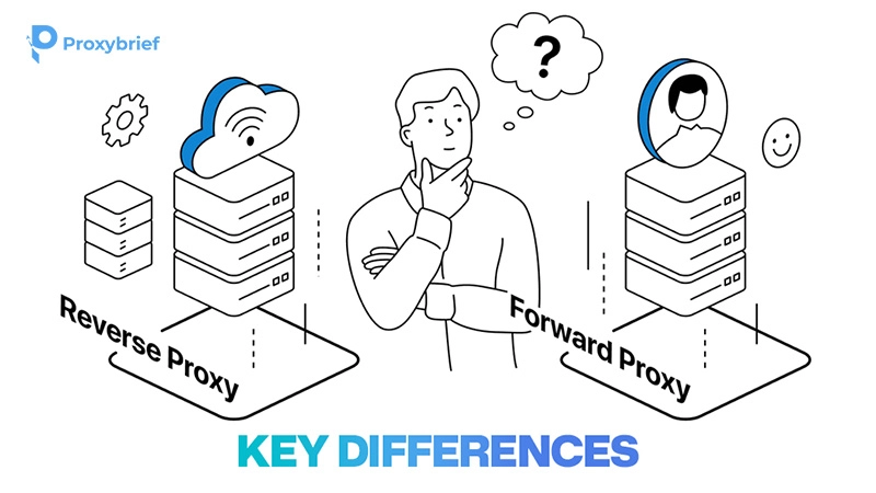 Key Differences