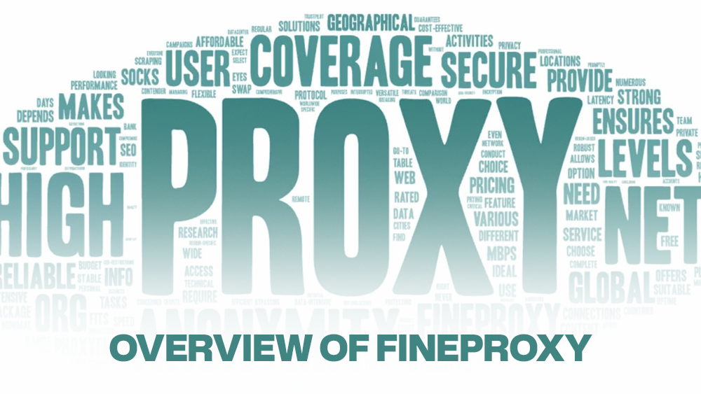 Overview of FineProxy