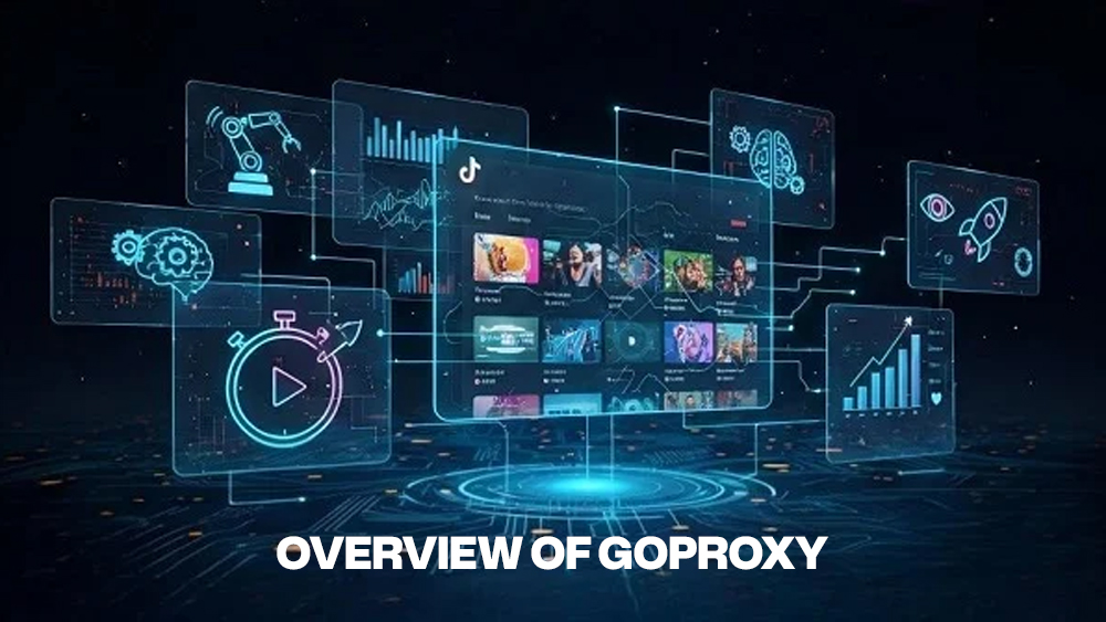 Overview of GoProxy
