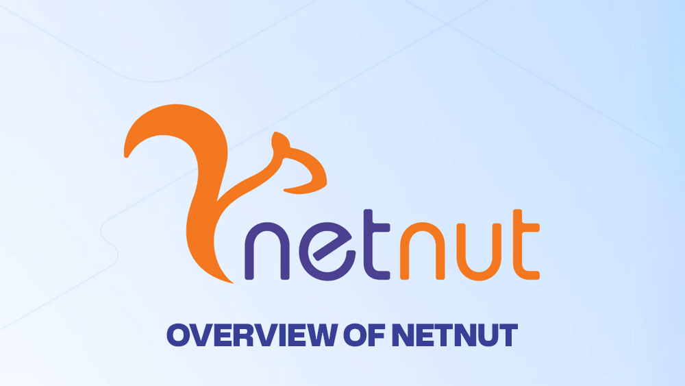 Overview of NetNut