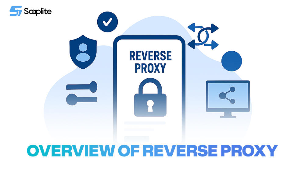 Overview of Reverse Proxy