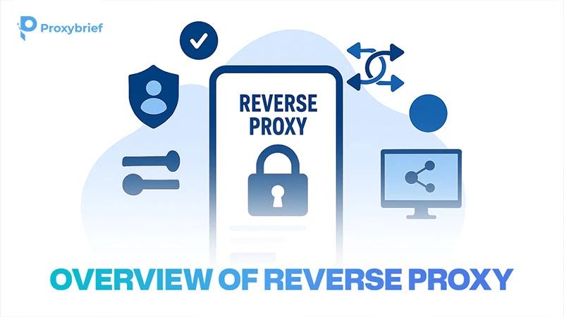 Overview of Reverse Proxy
