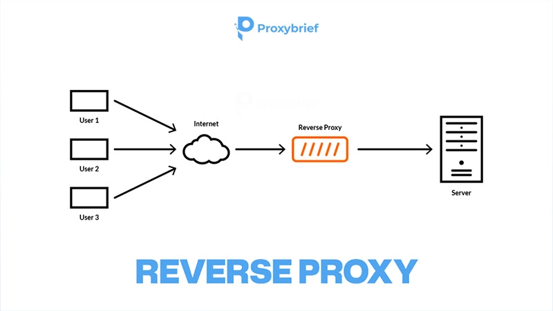 Reverse Proxy