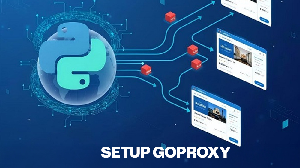 Setup GoProxy