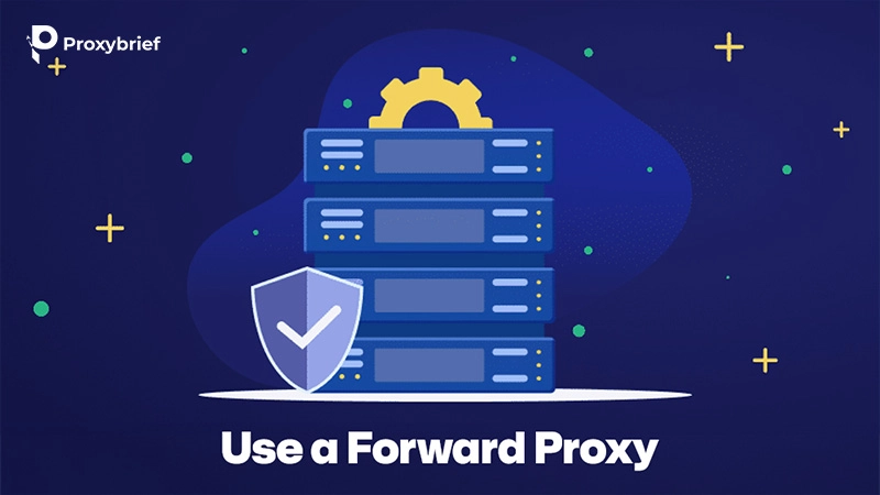 Use a Forward Proxy