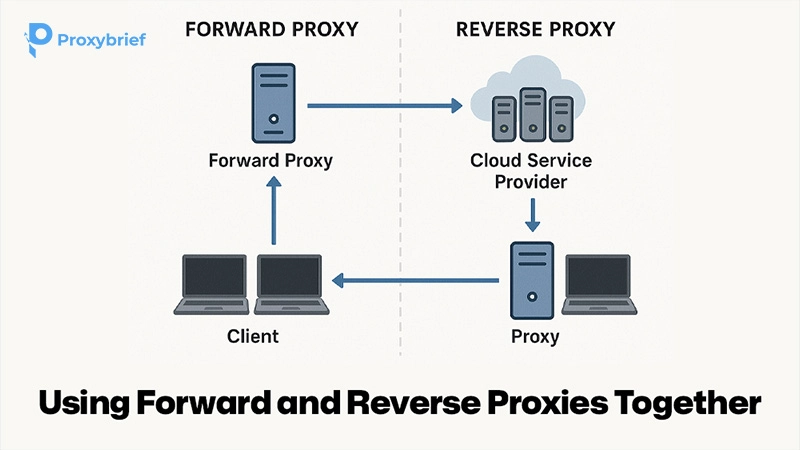 Using Forward and Reverse Proxies Together