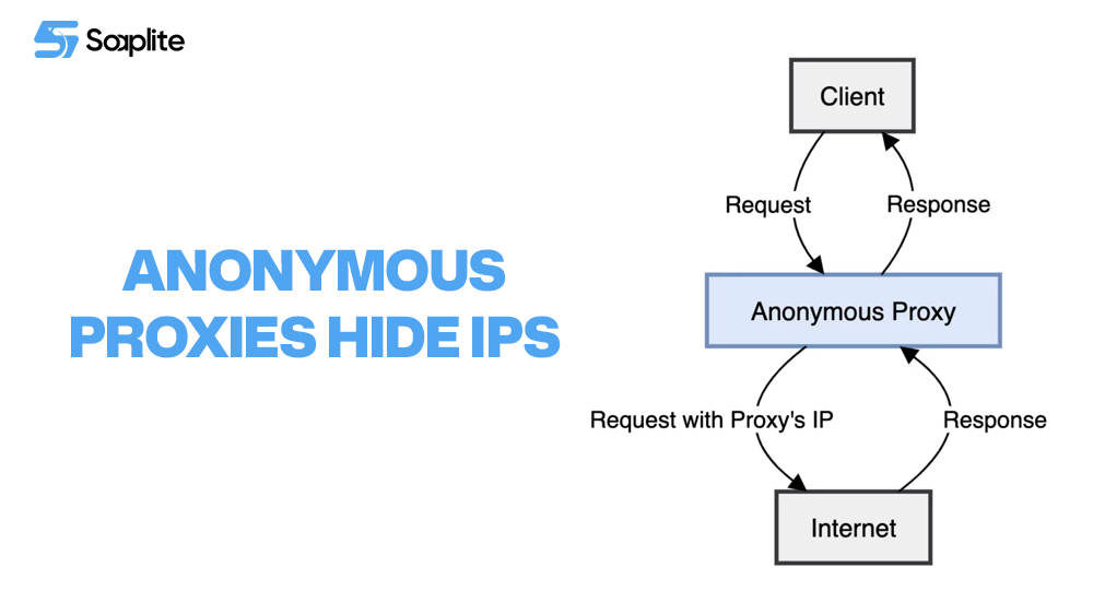 Anonymous proxies hide IPs