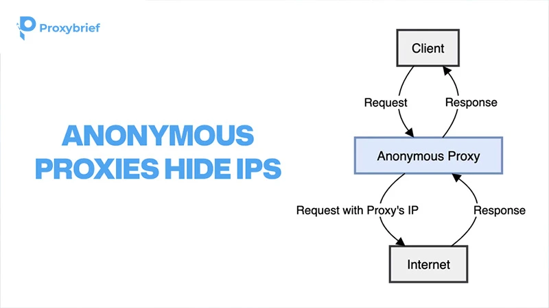 Anonymous proxies hide IPs