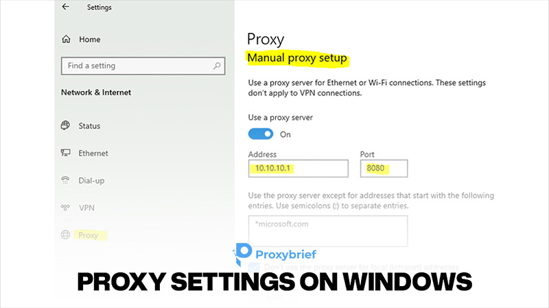 Proxy Settings on Windows