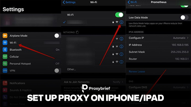 Set Up Proxy on iPhone/iPad