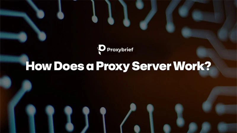 How Proxy Servers Work: 2026 Guide to Types & Setup