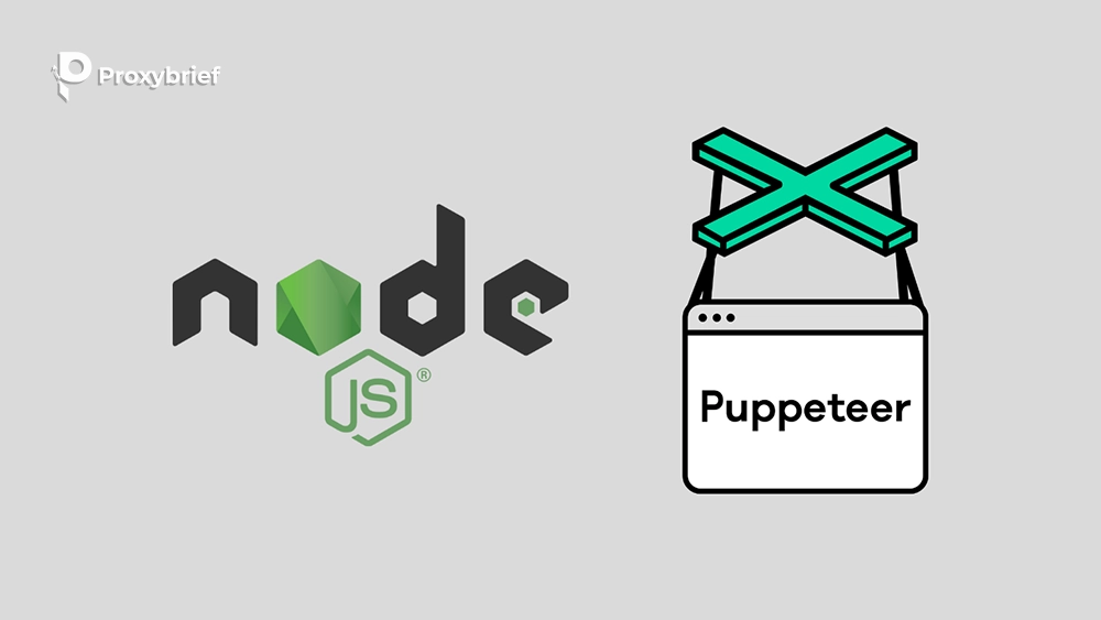 Example with Puppeteer (Node.js)