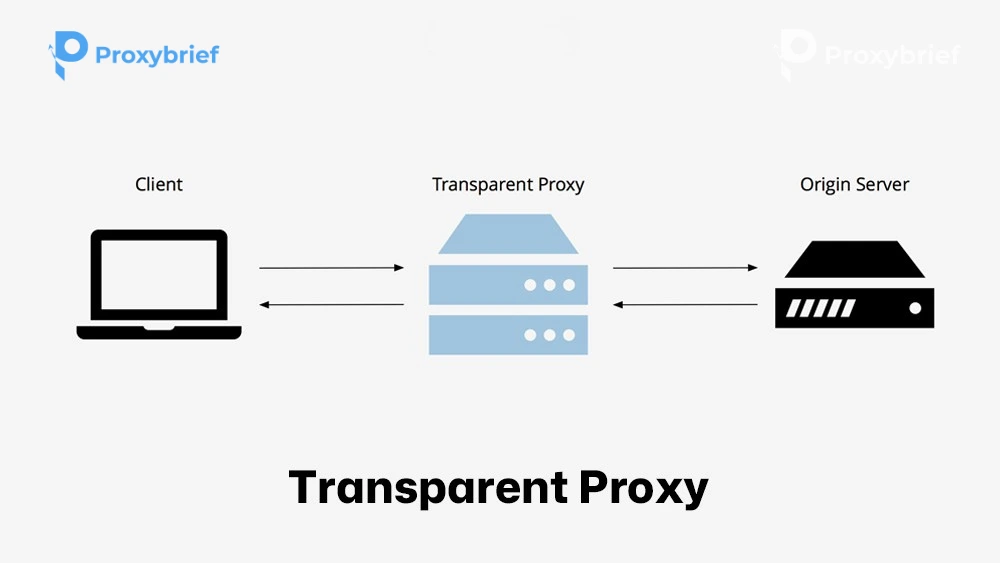Transparent Proxy