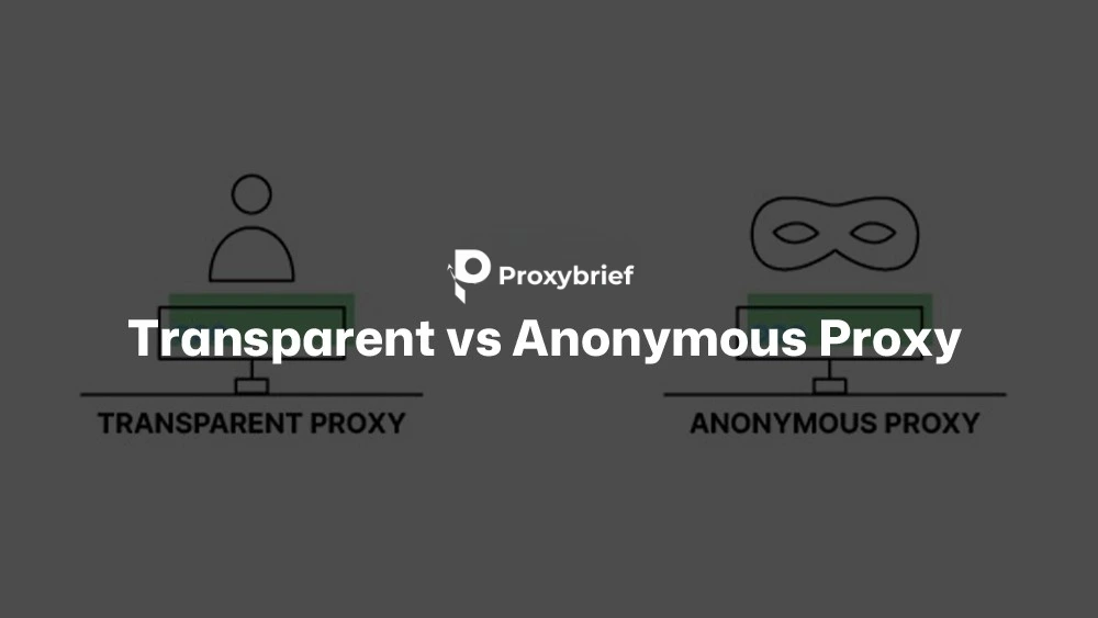 Transparent vs Anonymous Proxy: Differences, Risks, and When to Use Each