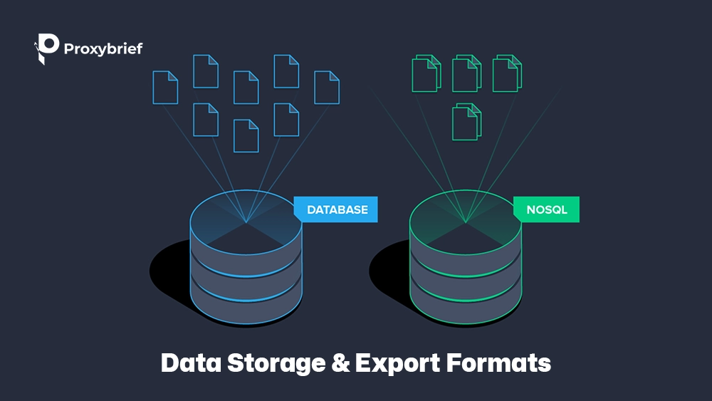 Data Storage & Export Formats