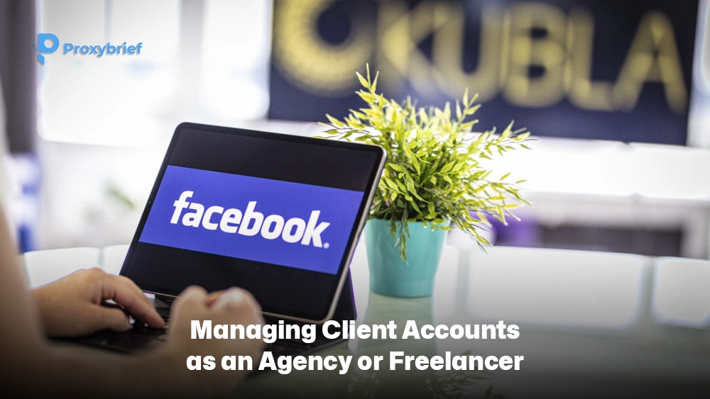 Managing Client Accounts as an Agency or Freelancer