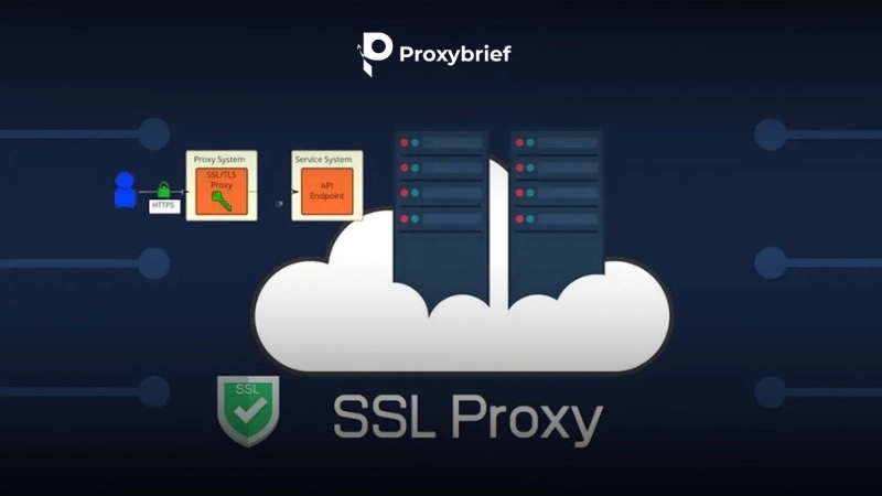 Overview of SSL Proxy
