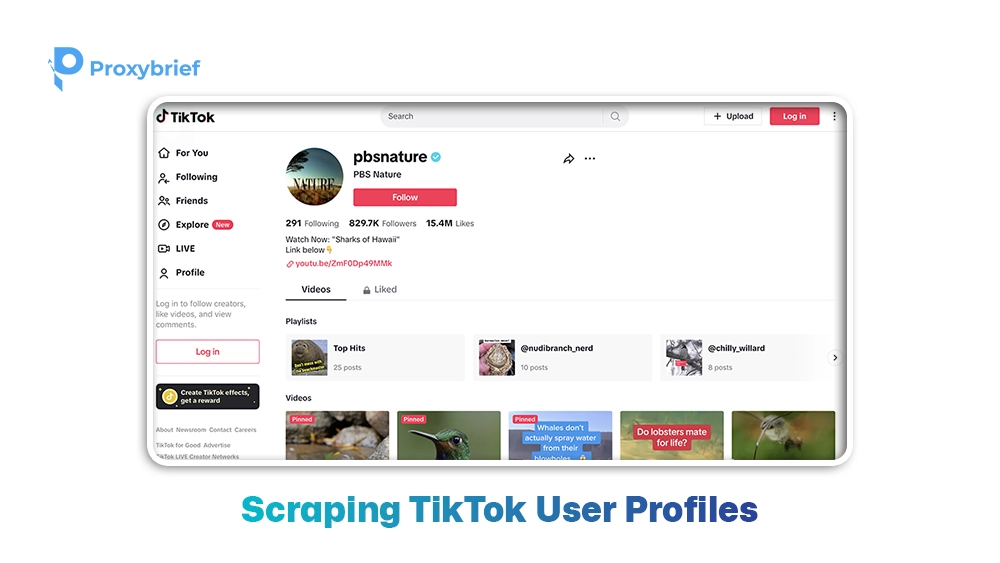 Scraping TikTok User Profiles