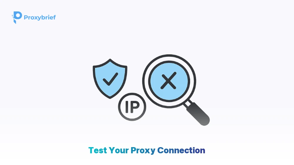 Test Your Proxy Connection