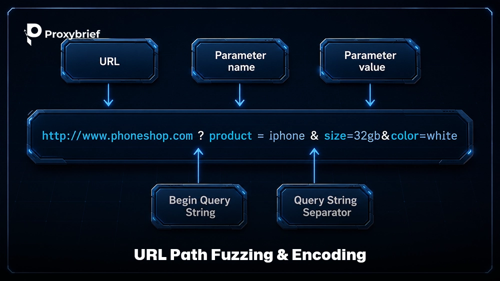 URL Path Fuzzing & Encoding